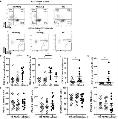 Circulating plasmablasts and follicular helper T-cell subsets are associated with antibody-positive autoimmune epilepsy